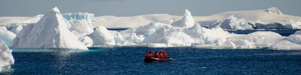 Scientists tagging whales in Antarctica