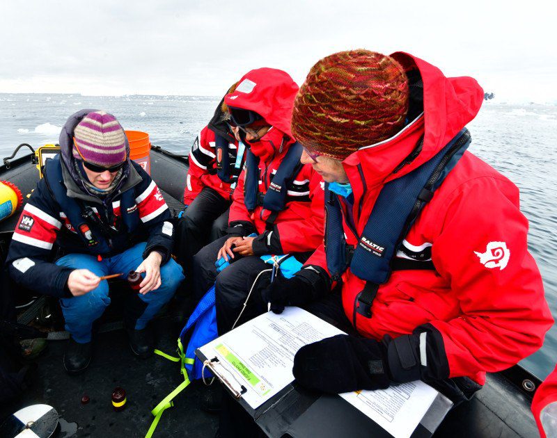 Counting penguins in Antarctica