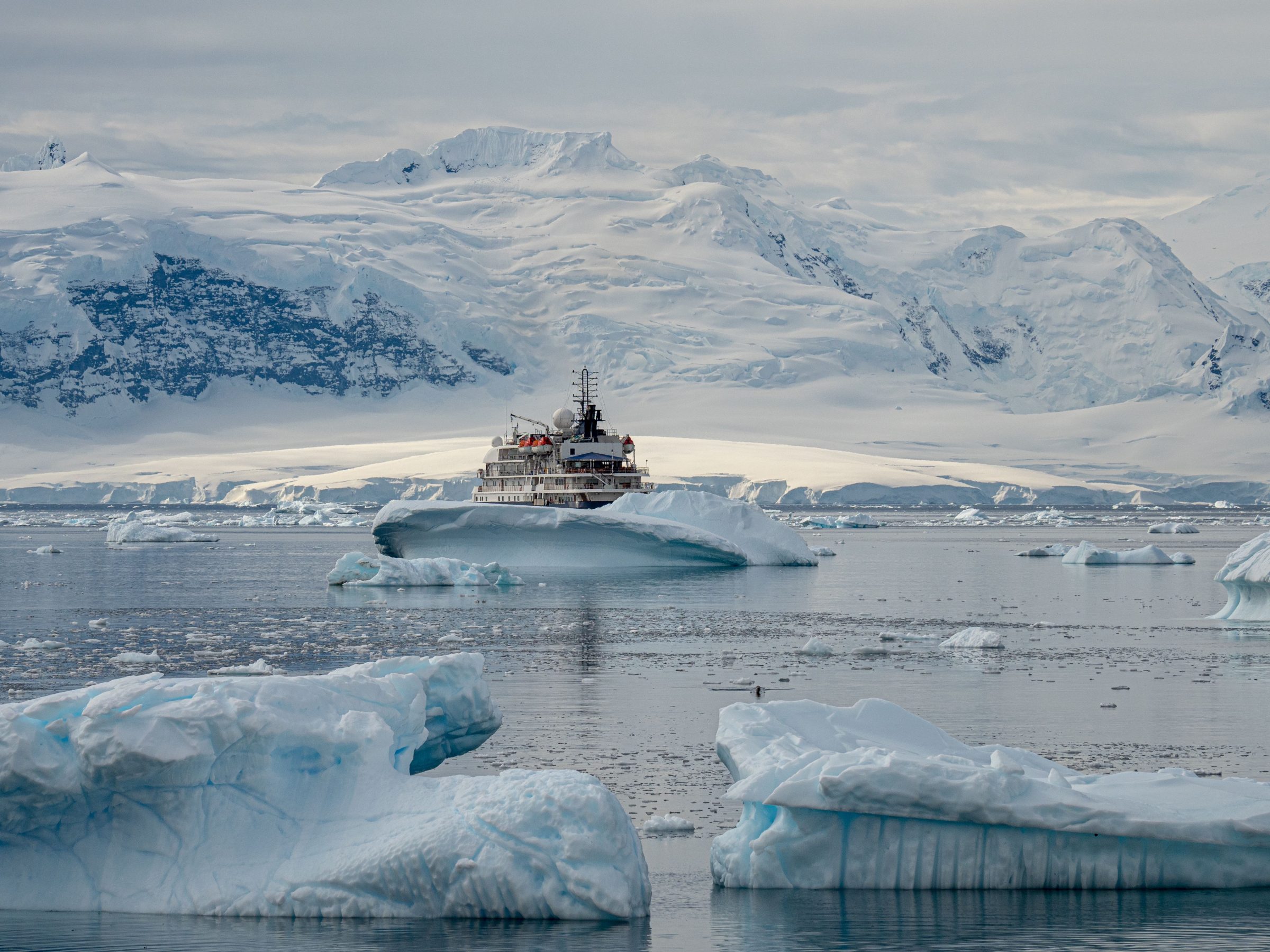 Counting penguins in Antarctica