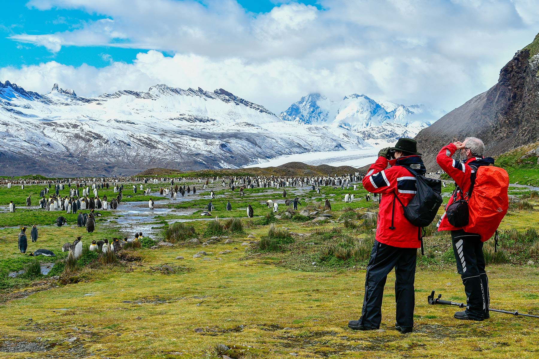 Counting penguins in Antarctica