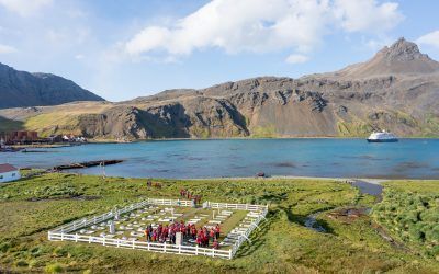 Landing Spotlight – Grytviken