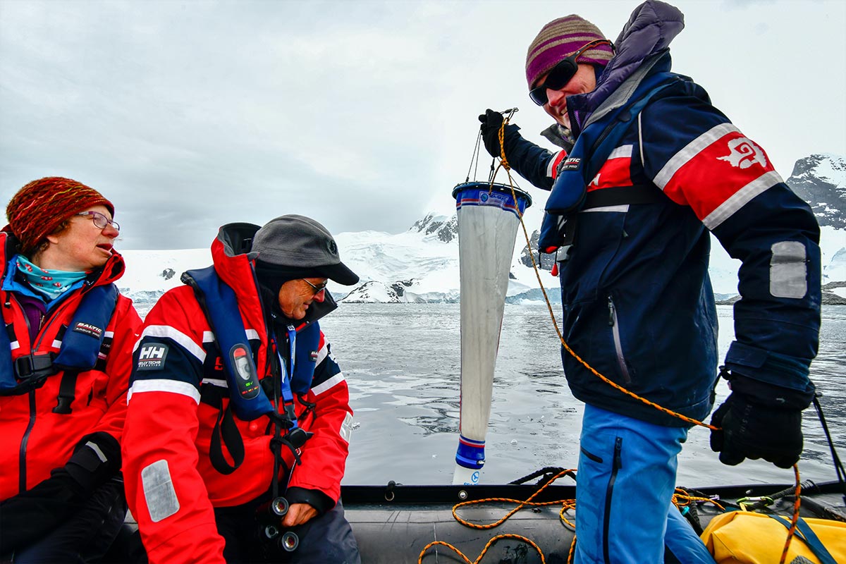 Counting penguins in Antarctica