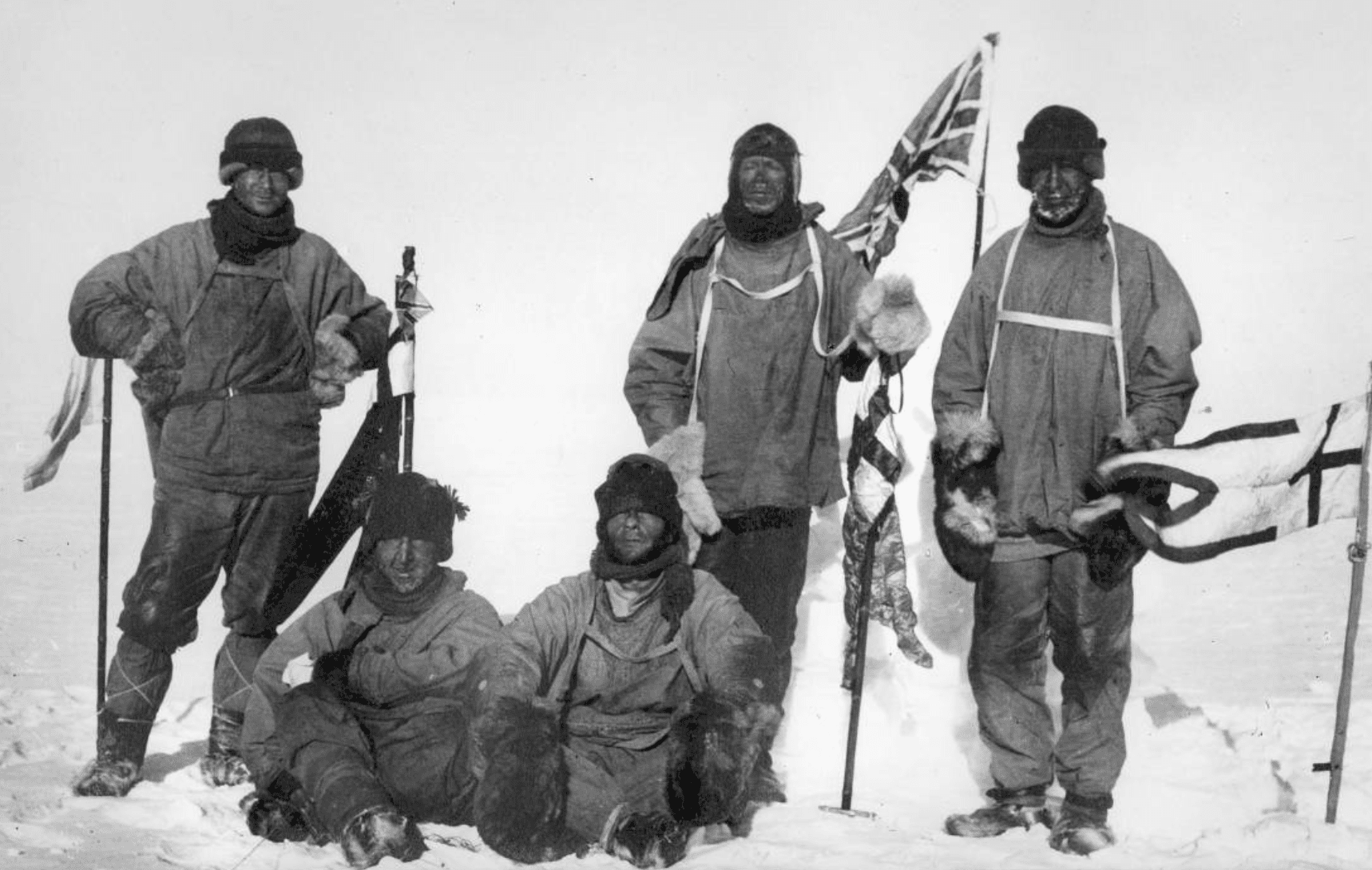 Counting penguins in Antarctica