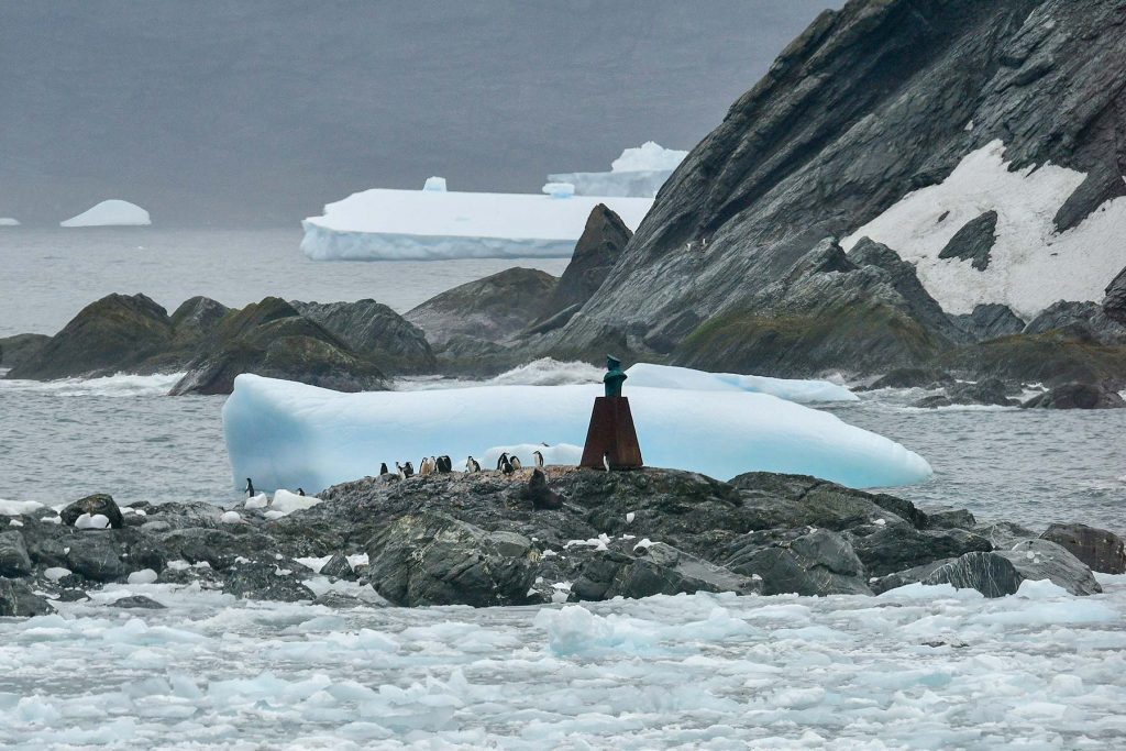 Counting penguins in Antarctica