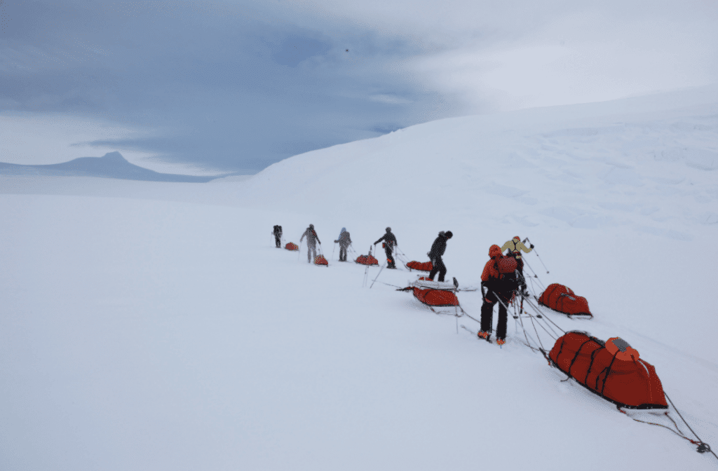 Counting penguins in Antarctica