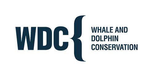 Whale and Dolphin Conservation logo Whale and Dolphin Conservation logo
