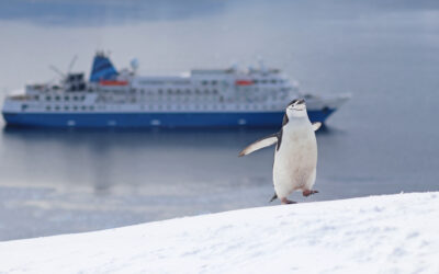 Unveiling Our Antarctica 2025-26 Season