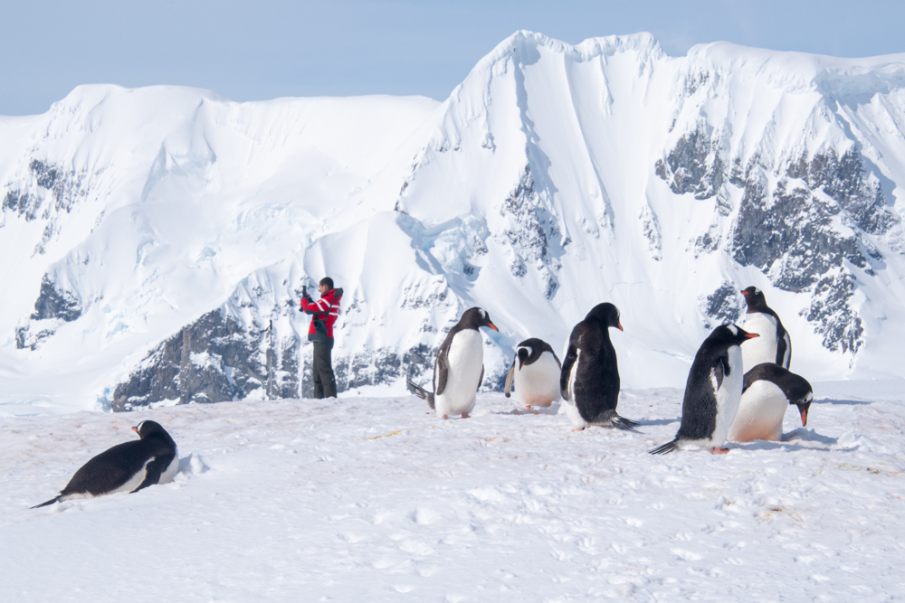 Photography in Antarctica