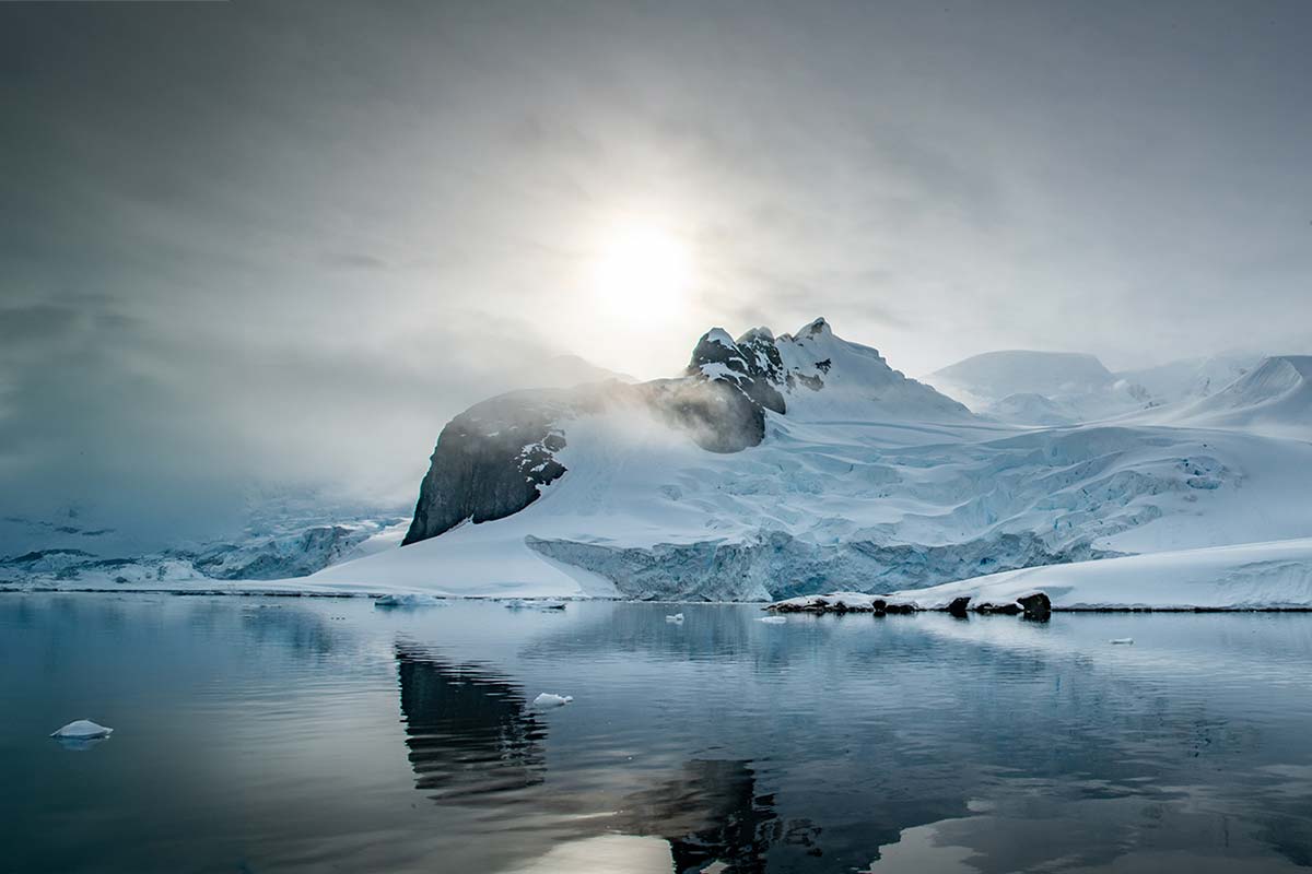 Scientists tagging whales in Antarctica