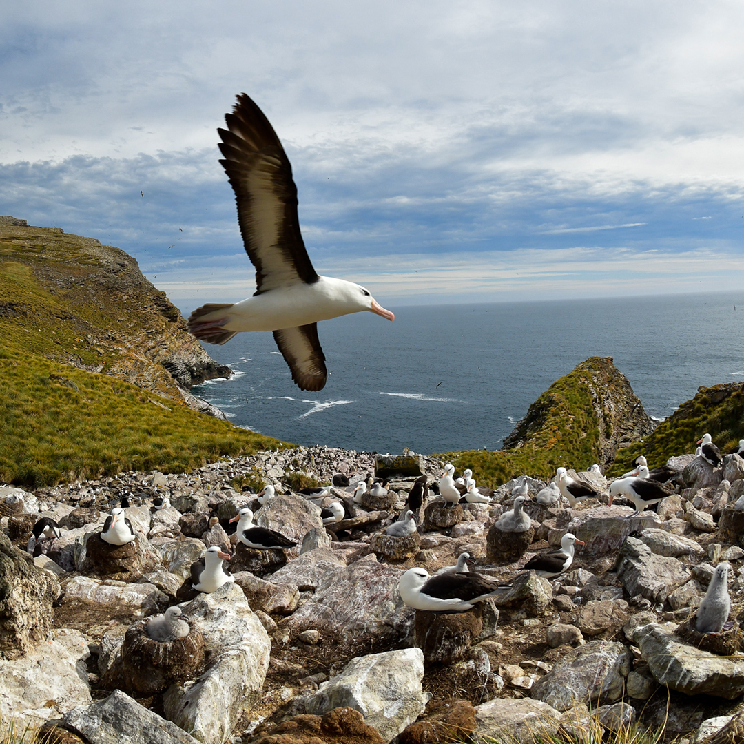 specific-trip_fsg-alt-4_1080x1080 Greenland - Ilulissat