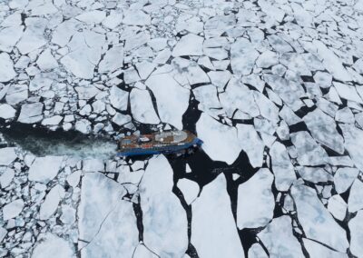 Ocean Albatros cruising through pack ice, Drone view