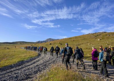 Guests hiking through the green landscape in Greenland