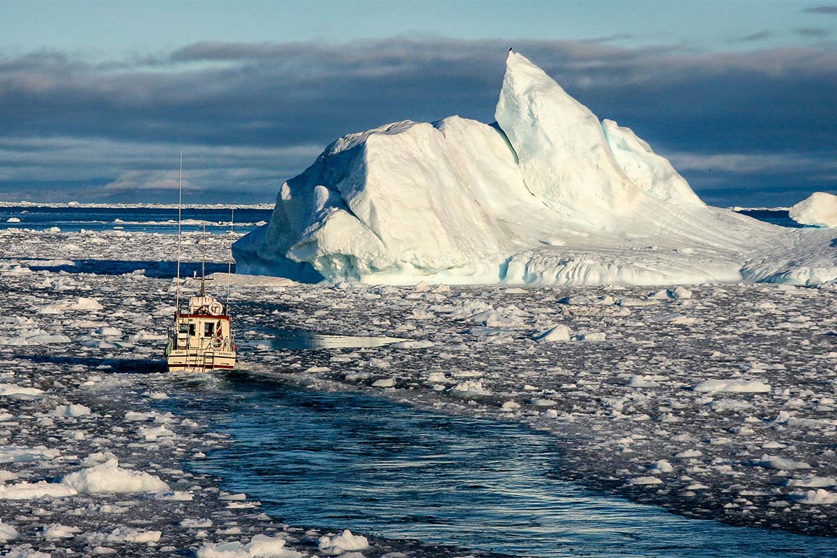 Kayaking in Antarctica